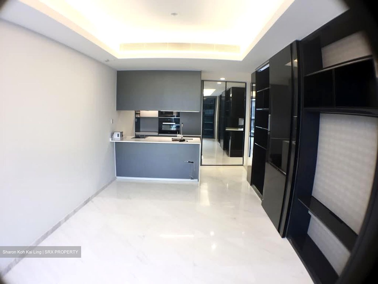 Cairnhill Nine (D9), Apartment #559336251